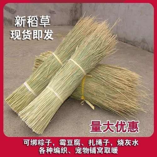 新天然干稻草秸秆稻草屋顶装饰草帘子稻柴草绳谷草做霉豆腐的禾秆