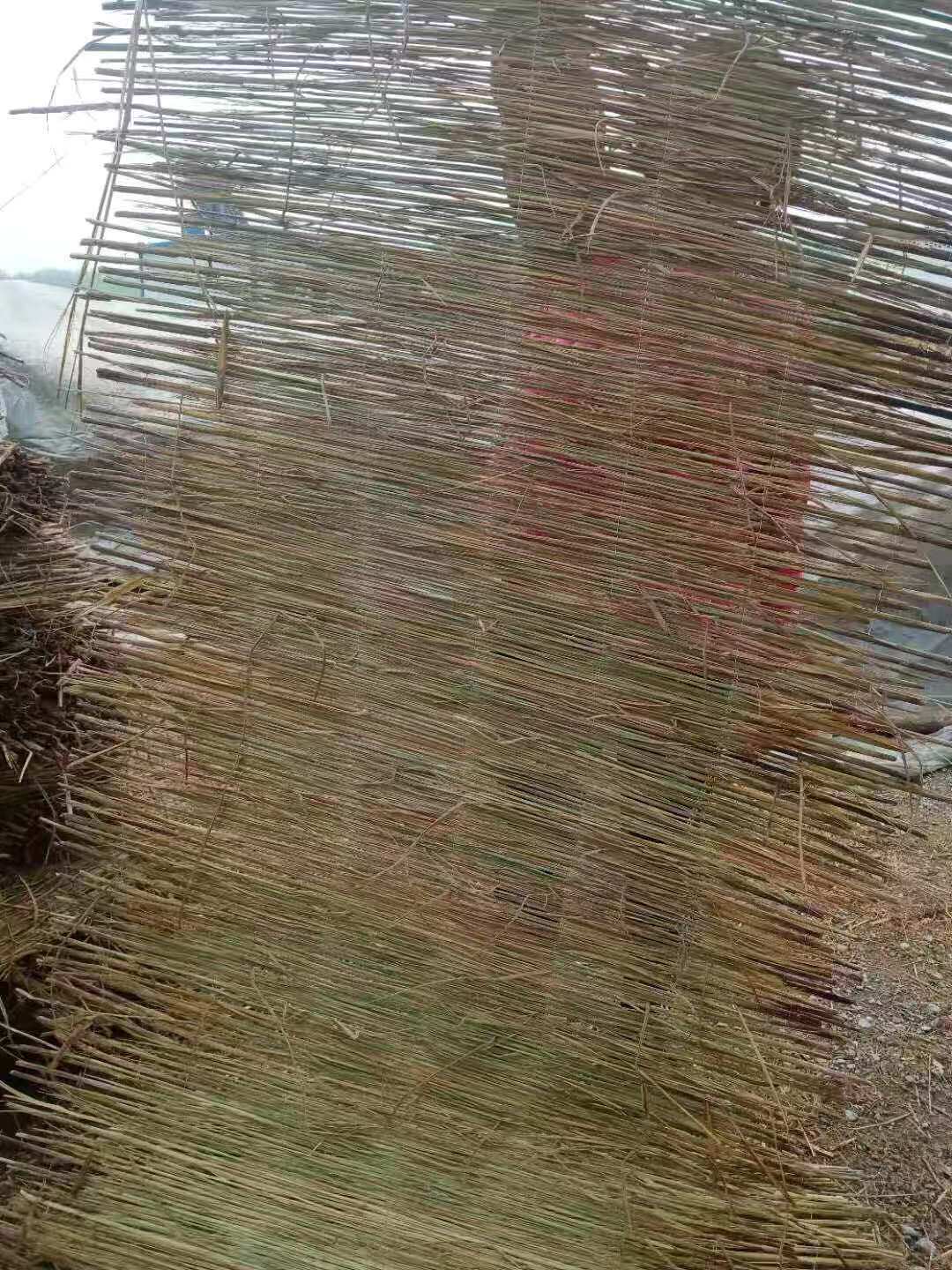 绿化保湿草坪帘盖草籽草帘子护坡草苫子编织稻草帘人工编织植草帘
