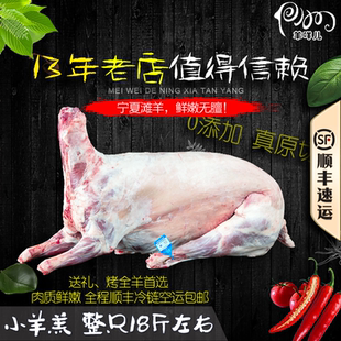 羊咩儿 宁夏滩羊18斤整只羔羊酮体 烤全羊首选 鲜嫩无膻 顺丰冷链