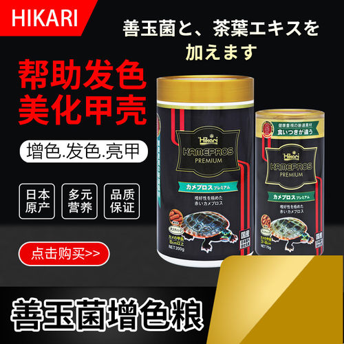 高够力增色善玉菌发色水龟粮