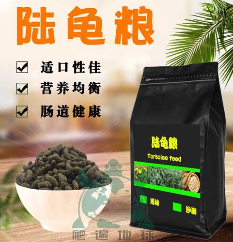 陆龟粮陆龟兄弟同款苏卡豹龟红腿