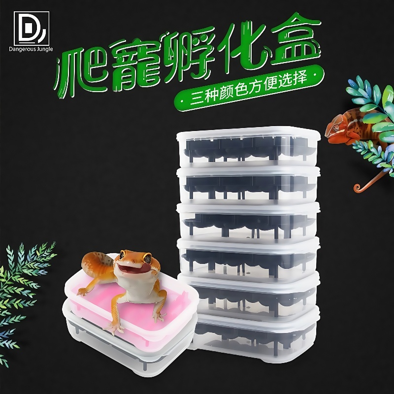 爬宠孵化盒水龟乌龟蛋孵化器