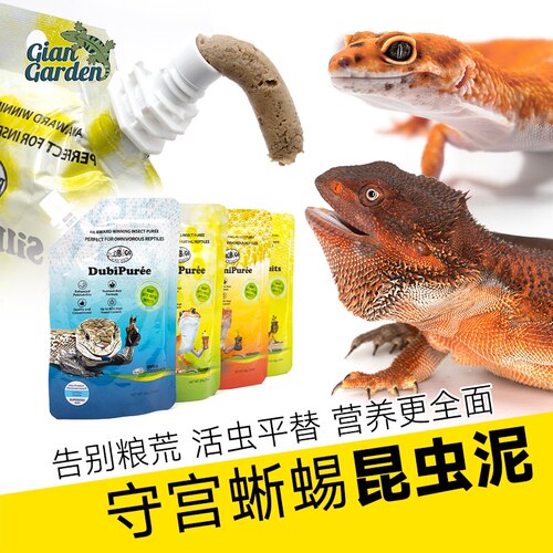 爬虫蓝舌凝胶睫角果泥豹纹守宫粮