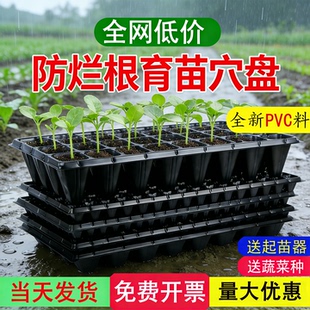 育苗盘穴盘种植神器秧盘育苗器蔬菜专用育苗盘扦插盒苗木多肉箱