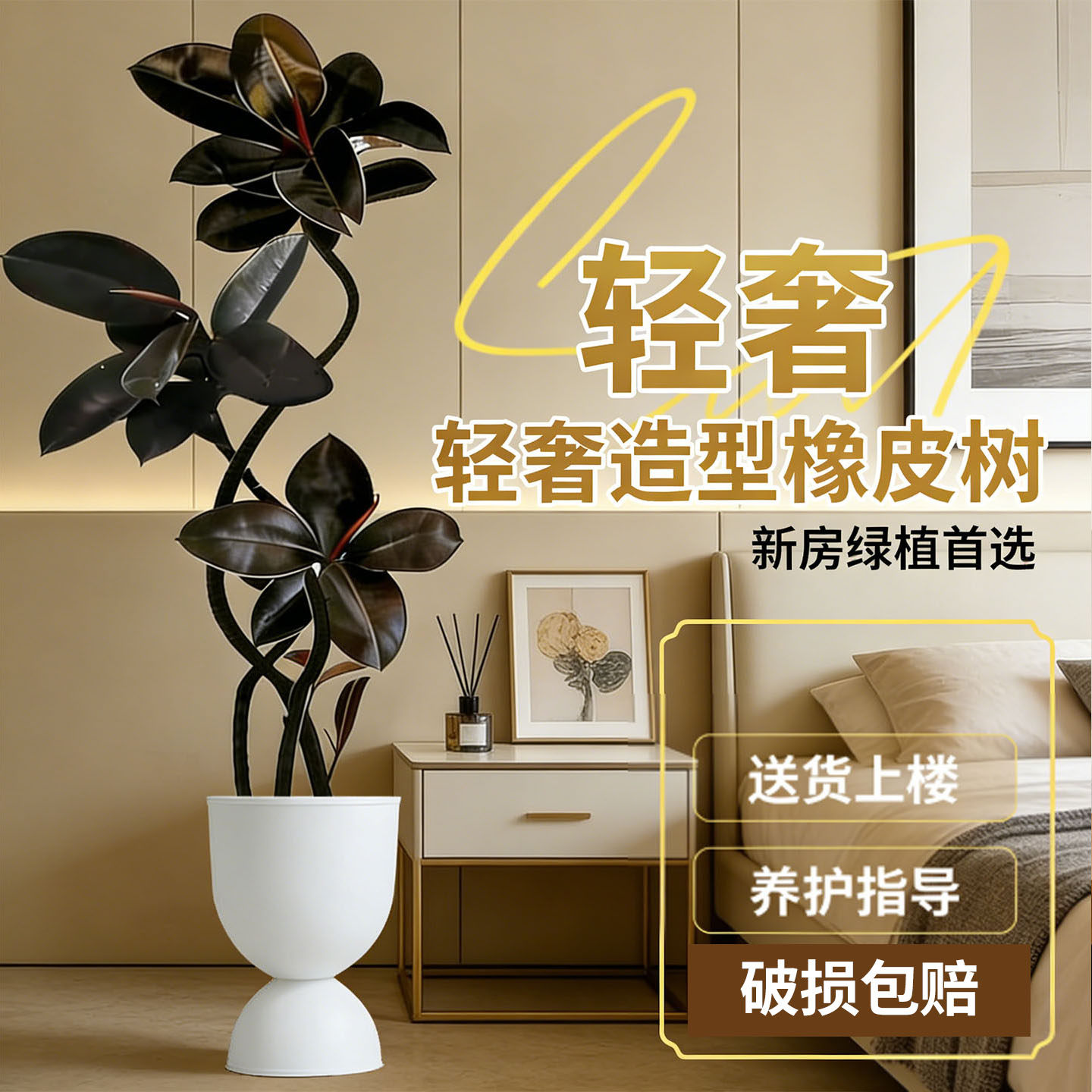 黑金刚橡皮树客厅大盆栽拗造型室内大型绿植办公室四季好养真植物,鲜花速递/花卉仿真/绿植园艺,大型绿植/成品组合盆栽,淘宝优惠券,粉丝福利购,淘宝优惠卷