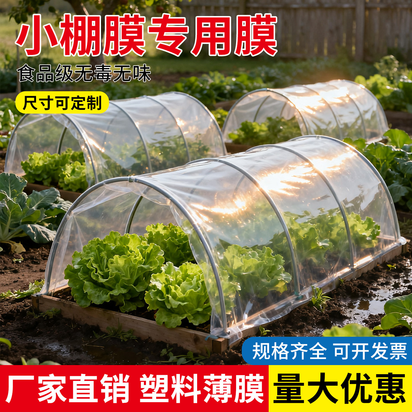 薄膜小拱棚膜专用膜大棚塑料膜