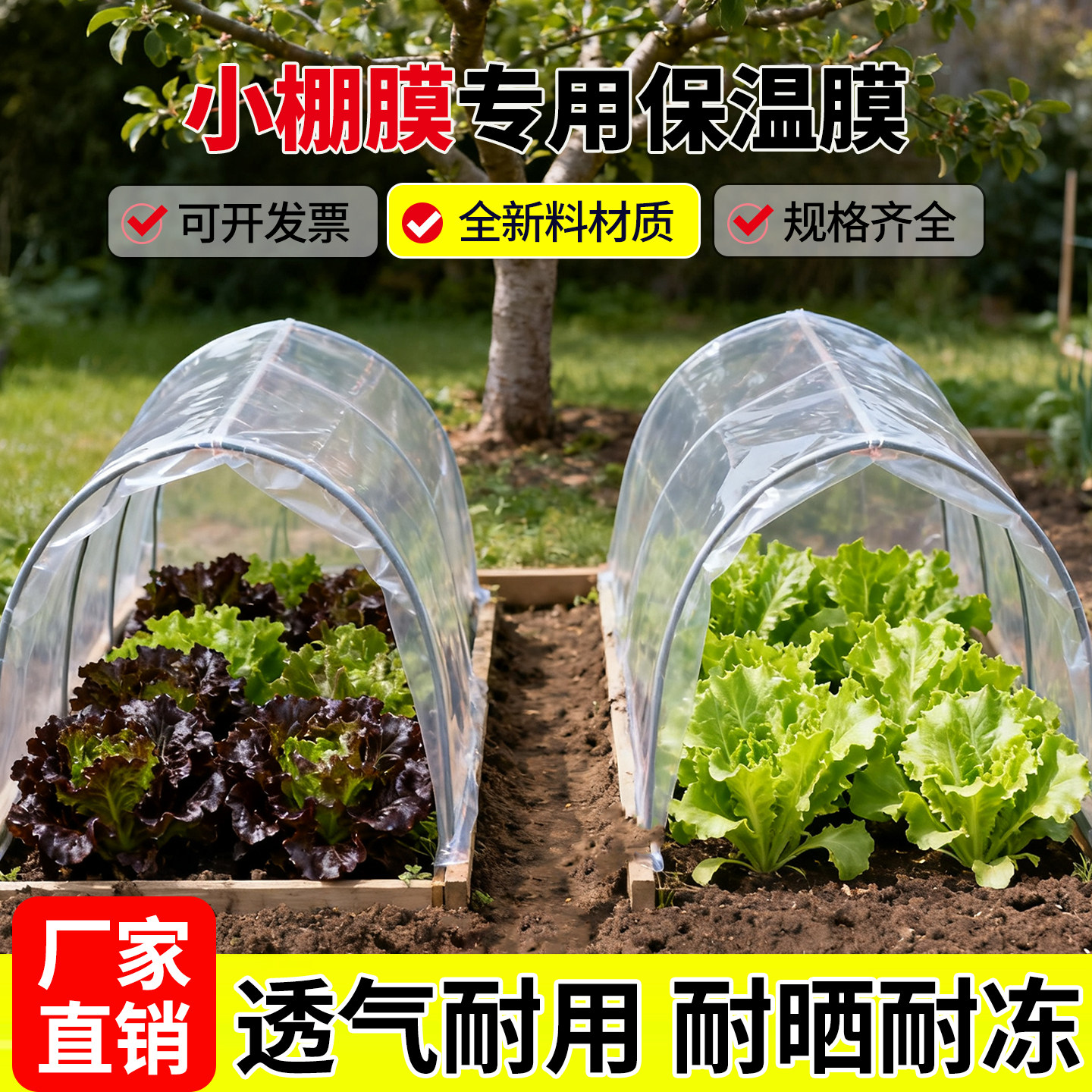 小拱棚保温膜透明种菜防寒地膜