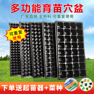 营养钵育苗盘育苗盆穴盘蔬菜育种塑料杯多肉种植扦插营养杯育苗盒