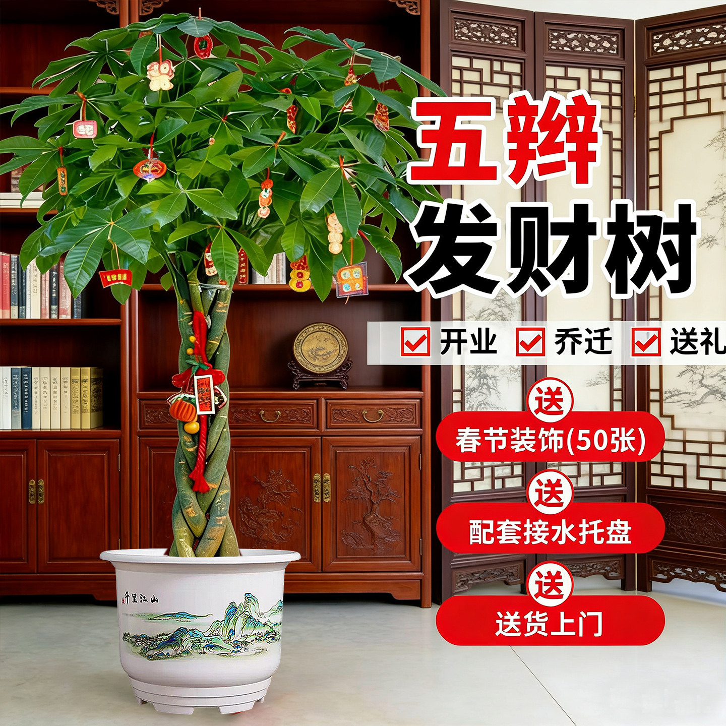 客厅盆栽辫子发财树招财树大型室内绿植办公室乔迁开业落地植物,鲜花速递/花卉仿真/绿植园艺,大型绿植/成品组合盆栽,淘宝优惠券,粉丝福利购,淘宝优惠卷