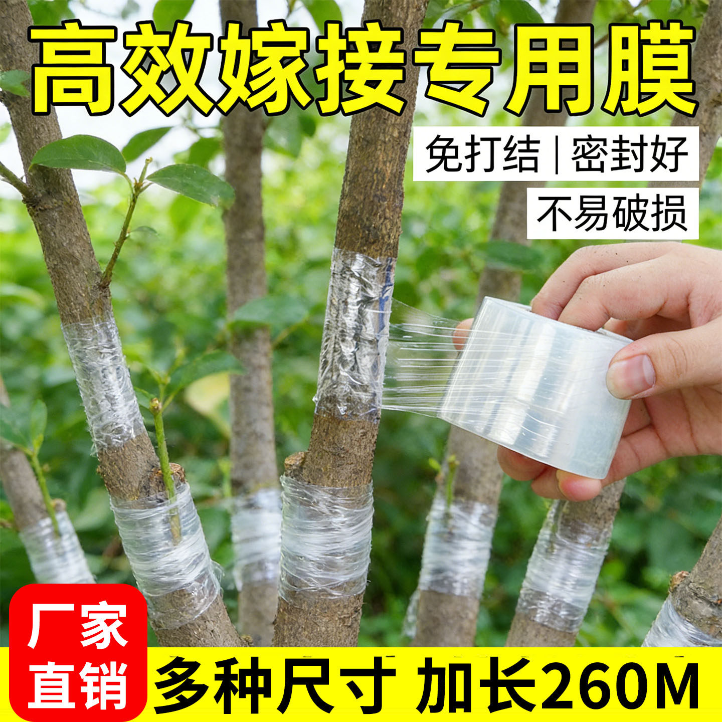 嫁接膜专用膜果树嫁接膜自粘式园林胶带包扎塑料膜缠绕膜绑带薄膜