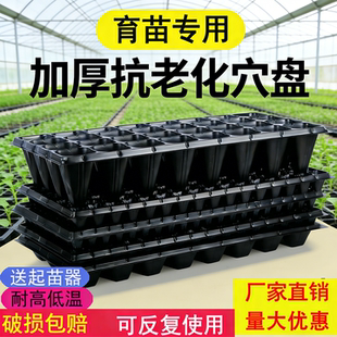 育苗盘穴盘种植神器秧盘育苗器蔬菜辣椒育苗盆扦插盒苗木多肉箱