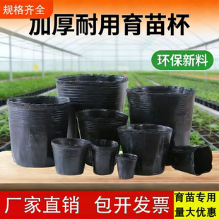 营养杯育苗育苗袋大号一次性花盆黑色种植塑料育苗杯育苗盆营养钵