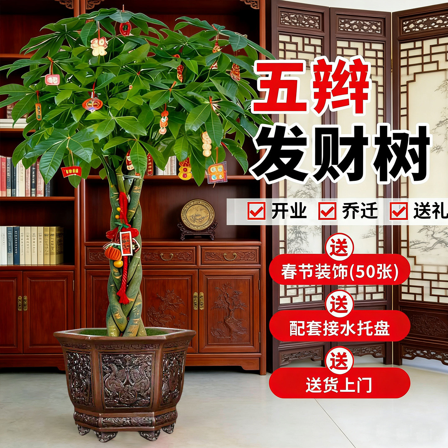辫子发财树客厅盆栽大型室内绿植招财树办公室乔迁开业落地植物,鲜花速递/花卉仿真/绿植园艺,大型绿植/成品组合盆栽,淘宝优惠券,粉丝福利购,淘宝优惠卷