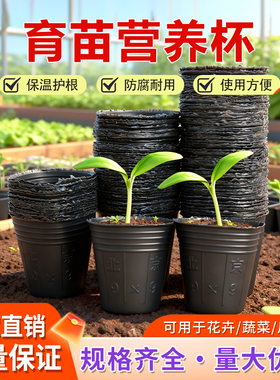 育苗营养杯育苗袋大号一次性花盆黑色种植塑料育苗杯育苗盆营养钵
