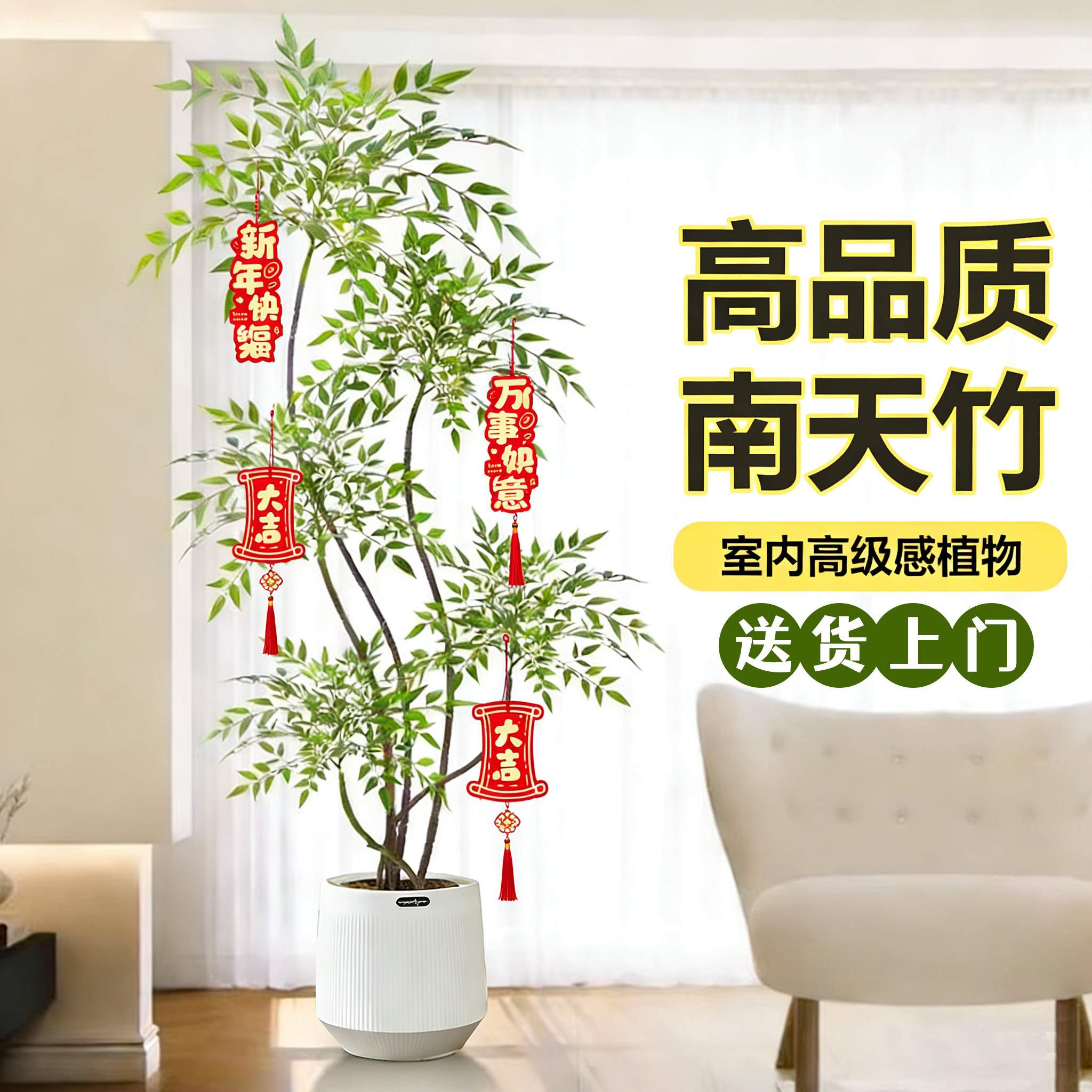 南天竹盆栽客厅真树室内绿植大型植物树苗办公室火焰老桩落地造景,鲜花速递/花卉仿真/绿植园艺,大型绿植/成品组合盆栽,淘宝优惠券,粉丝福利购,淘宝优惠卷