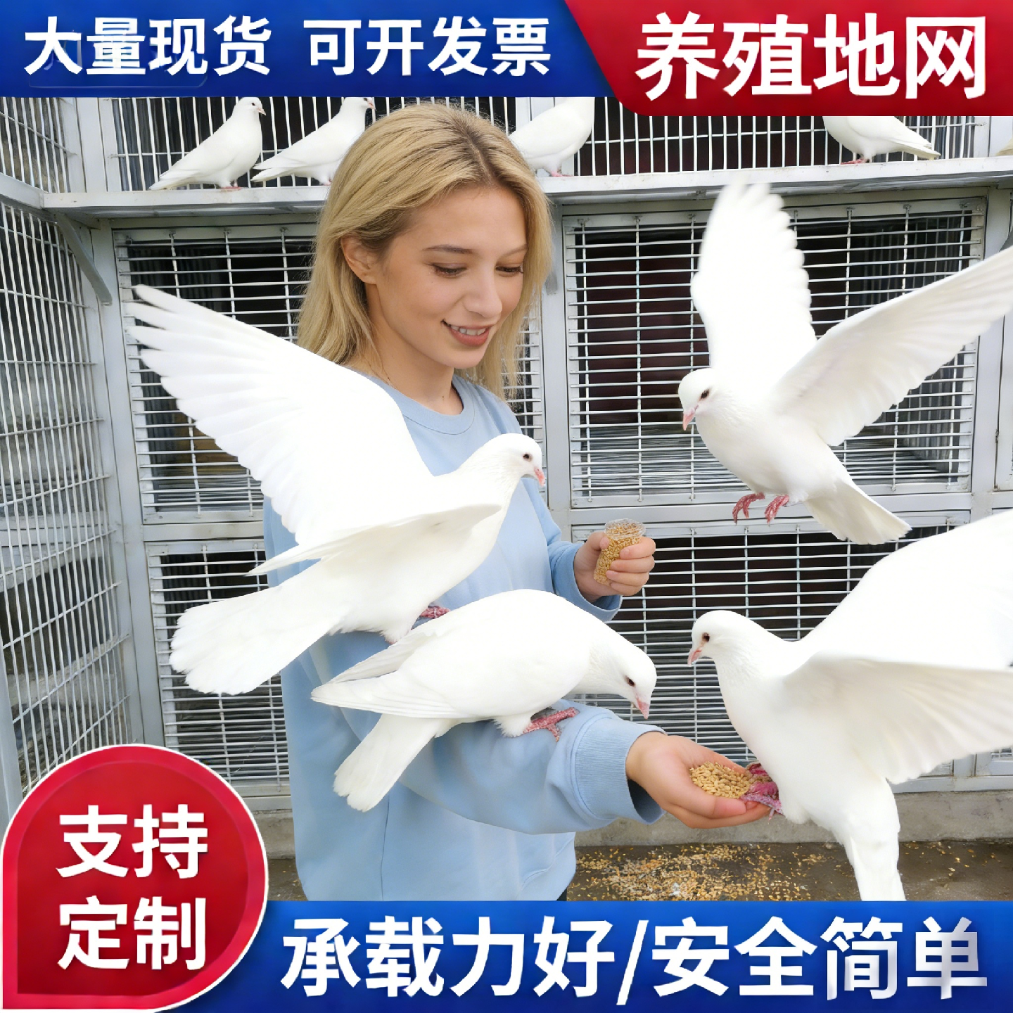 养殖隔离电焊网片镀锌网片网格防护网片鸽舍狗笼底网建筑钢筋网片,金属材料及制品,丝网/金属网,淘宝优惠券,粉丝福利购,淘宝优惠卷