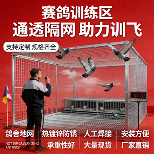 镀锌鸽舍鸽子地网脚踩拼装鸽棚网格养殖漏粪板公棚扁铁地网信鸽笼