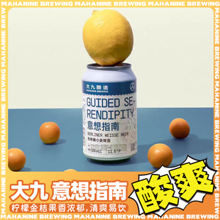 大九酿造 意向指南柏林酸小麦精酿啤酒