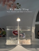 斗鱼专用鱼缸高颜生态玻璃双缸客厅桌面摆件卧室氛围感夜灯装 饰