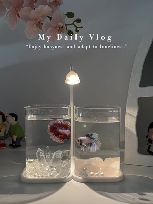 斗鱼专用鱼缸高颜生态玻璃双缸客厅桌面摆件卧室氛围感夜灯装饰