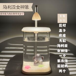 海利亚女神像懒人工位养鱼简约斗鱼专用玻璃鱼缸涨薪幸运海星缸