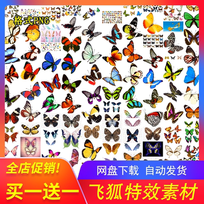 写实蝴蝶飞舞特效照片PNG免抠图后期合成PSD素材