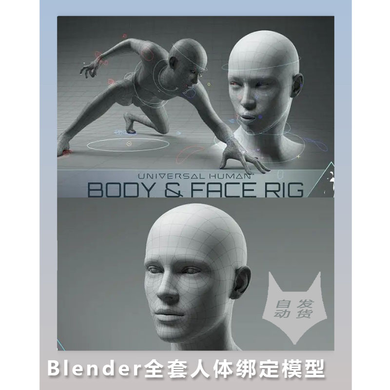 Blender全套人体绑定模型+8K贴图+皮肤着色器+教程