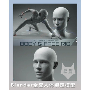 Blender全套人體綁定模型 教程 皮膚著色器 8K貼圖