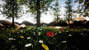 Easy flowers 虚幻4 and UE4 plants landscape 森林花植 with