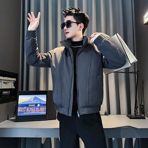 MF91-P138 控188  冬季社会小伙加厚保暖立领棉衣棉服外套 紫色1图片