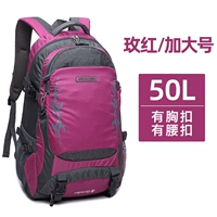 Большой дождевик, модернизированная версия