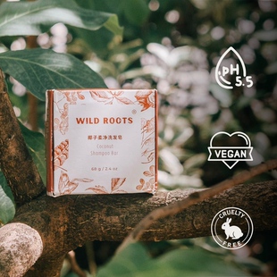 椰子润养洗发皂ph5.5弱酸滋润柔顺植物simply green天然无硅油