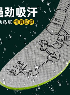 艾草除臭吸汗透气减震鞋垫女款