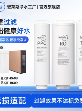 碧莱斯适用科恩净水器滤芯机KJT-RO608/KJT-RO609PPC复合滤芯RO膜