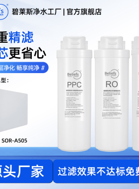 碧莱斯适配松润/沃兰特/康佳/樱雪净水器通用PPC后置RO反渗透滤芯