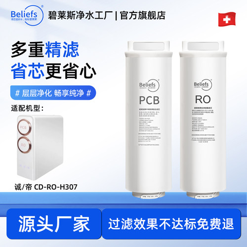 碧莱斯适配于诚帝净水器滤芯全套