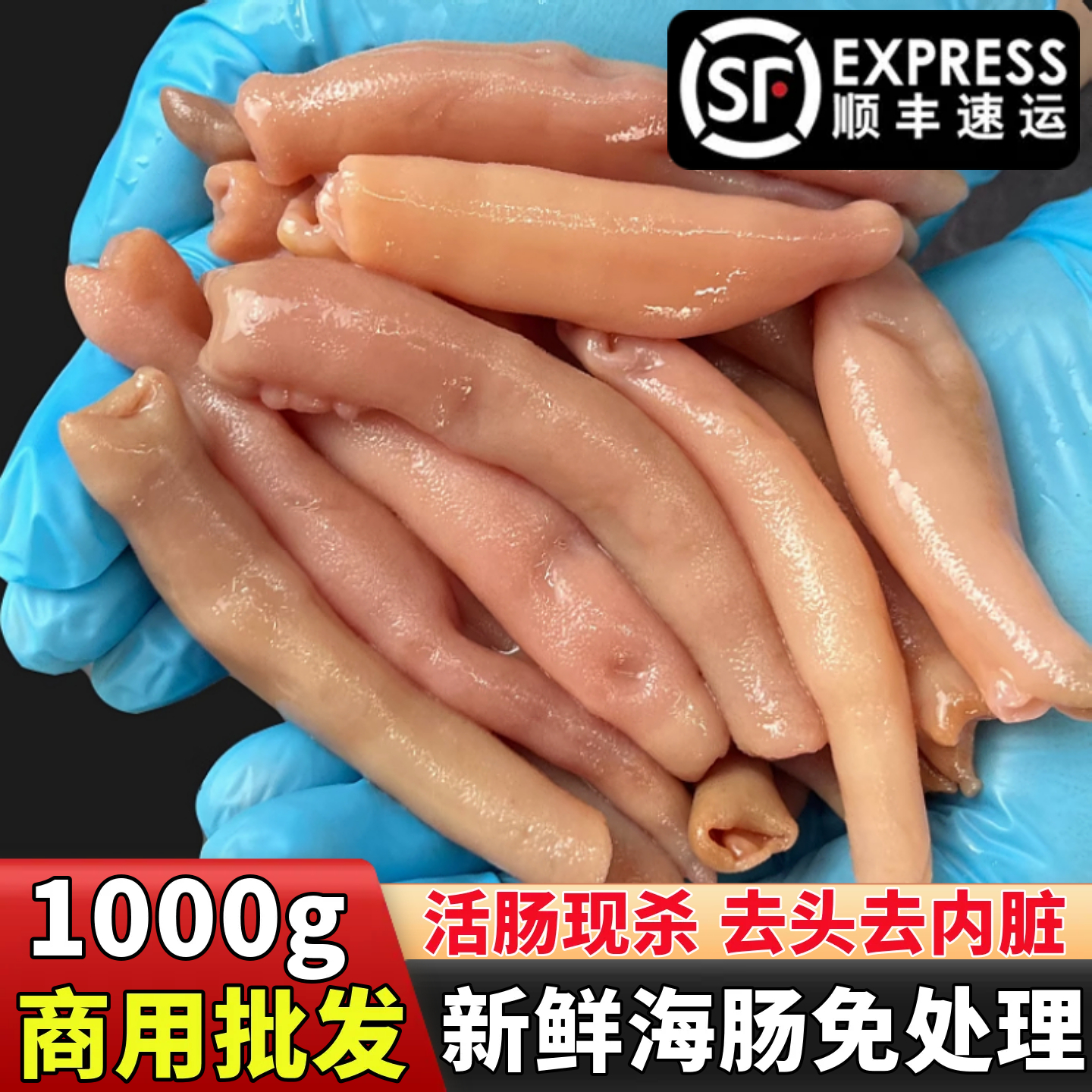 新鲜海肠速冻鲜活沙虫免处理海肠子皮1000g海肠捞饭海鲜水产商用