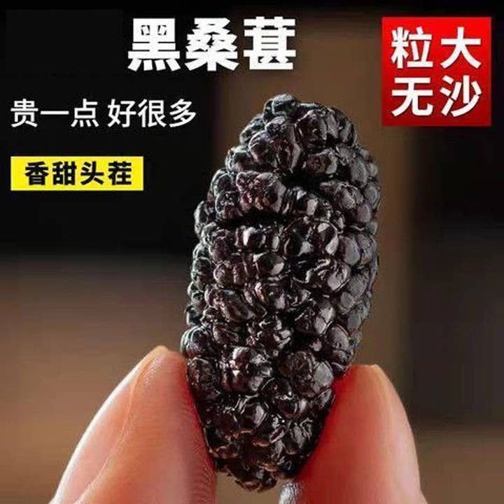 精选黑桑葚干泡酒泡茶泡水特即食级头茬攀枝花桑椹大果子新货批发