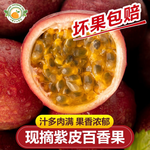 百香果新鲜采摘现摘现发