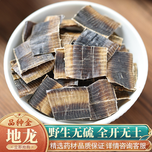 中药材特级野生地龙50克干地龙片全开无土地龙整条蚯蚓广地龙粉