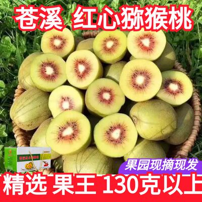 红心猕猴桃广元苍溪红阳
