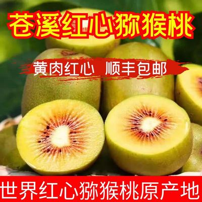 苍溪红心猕猴桃红阳广元苍溪