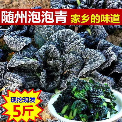 随州安居泡泡青菜矮杆打霜新鲜蔬菜现挖现发安居镇包邮湖北土特产