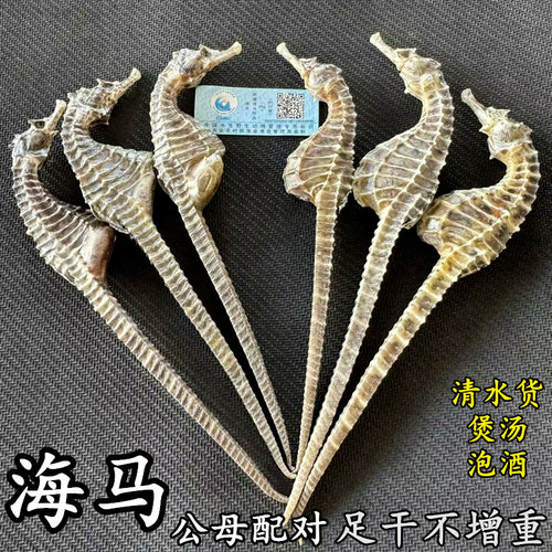 海马干正宗溯源公母配对煲汤泡酒