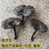 黑灵芝梅州客家仿野生紫灵芝长柄短柄整枝灵芝大中小干货实物图