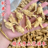 正宗原丛西洋参加拿大进口花旗参特选圆泡粒整枝参味浓郁约2.5克