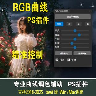 飞鱼RGB曲线辅助插件官方正版PS调色插件滤镜后期摄影修图必备