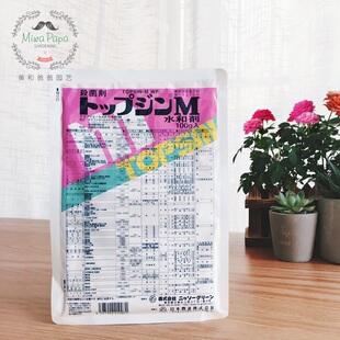 盆栽 日本进口 多肉植物 菌核 白粉点 曹达甲基托布津水和剂 黑腐