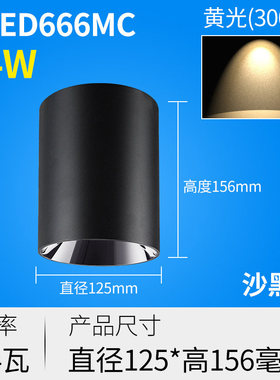 雷士照明led明装射灯全铝材质黑光技术防眩光显指90 NLED666MCMB