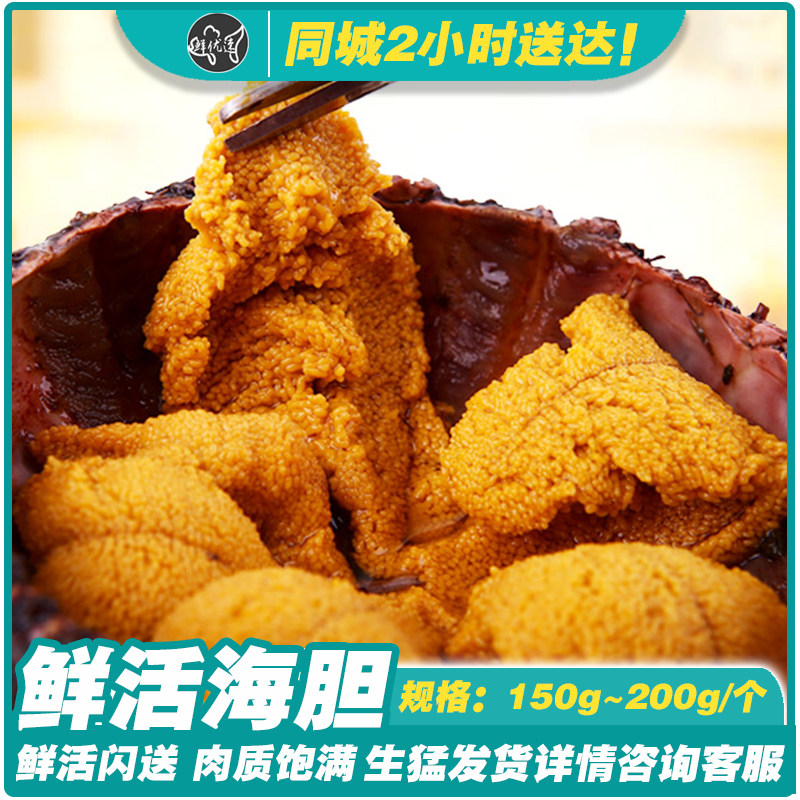 海鲜水产鲜活海胆马粪胆黄胆紫胆刺生新鲜海胆活海胆1个/120-150g